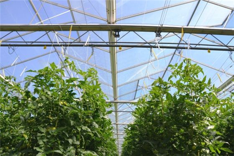 如何使用漫反射涂層？