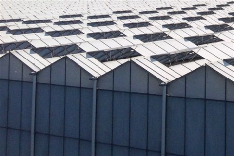 遮陽(yáng)劑是什么？