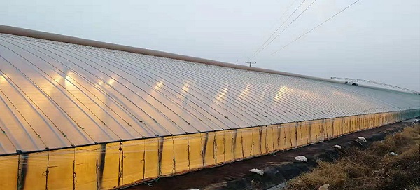 日光溫室解決方案